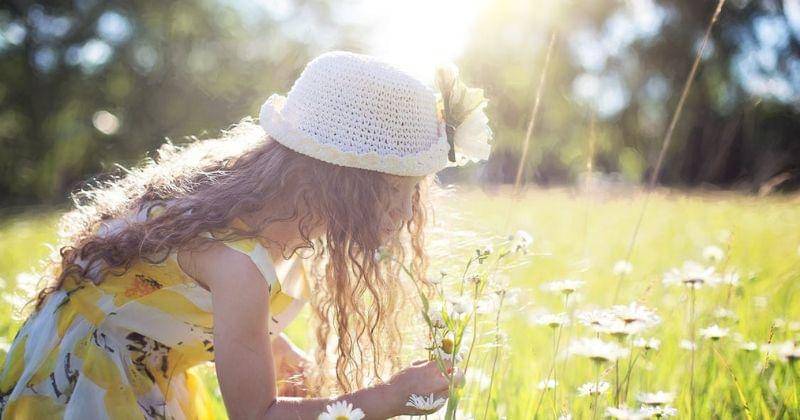 Pexels/Jill Wellington